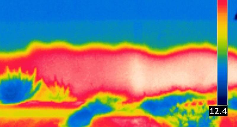 FIELD ASSESSMENT The THERMOGRAPHIC INSPECTION The THERMOGRAPHIC