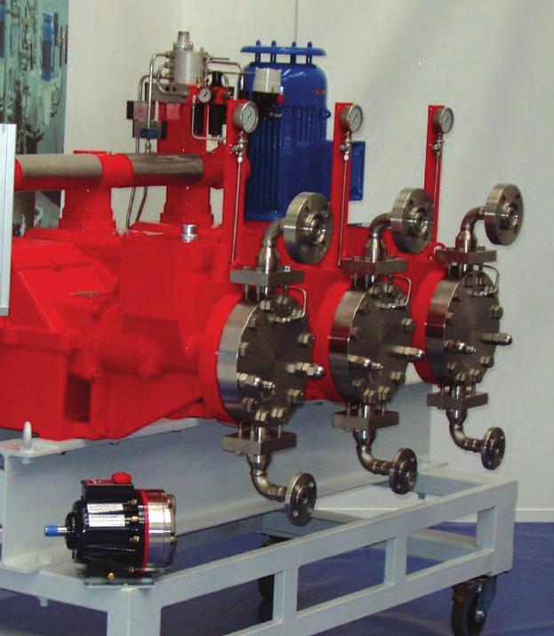 Hydra-Cell Operational and Cost Advantages Achieve Economy through Technology Both the Hydra-Cell pump and triplex metering pump shown have the same flow capacity and pressure rating.