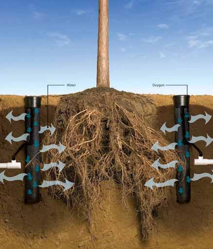 Highest efficiency solution for tree irrigation up to 95% emission uniformity with minimal wind, evaporation, or edge control losses.
