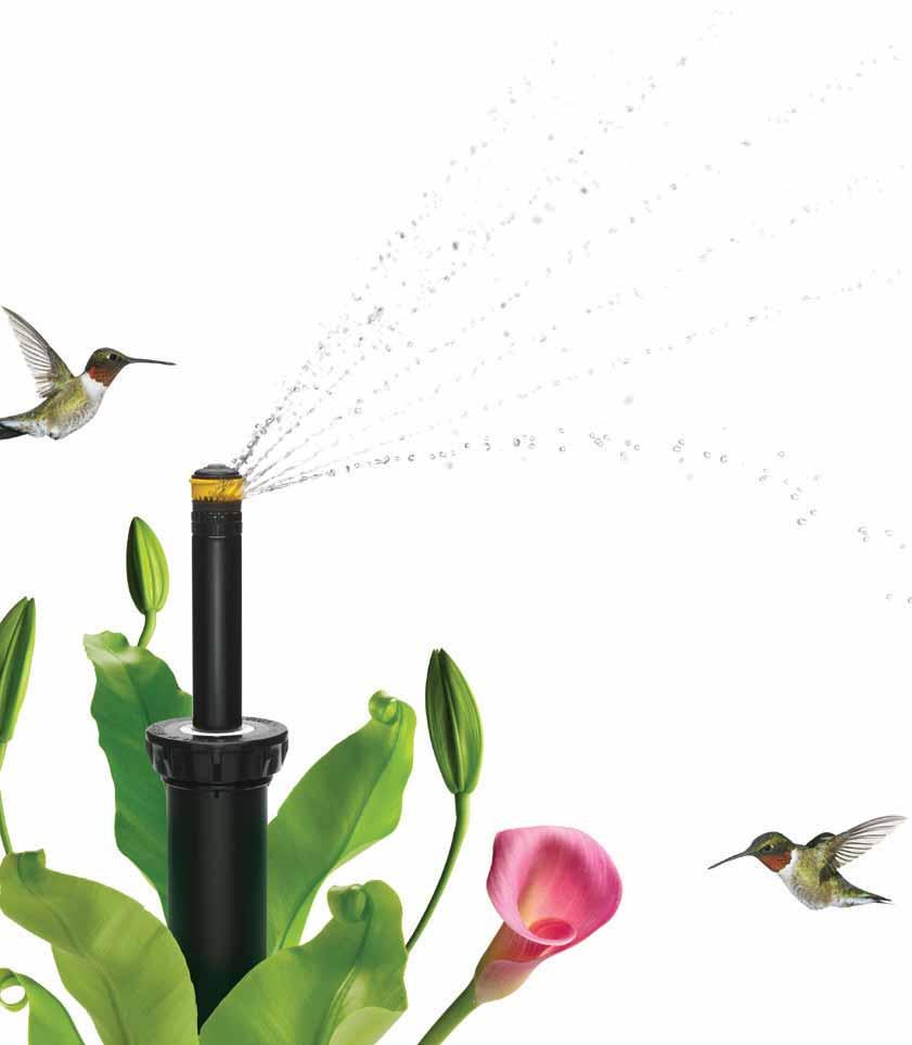 Facts About Rain Bird's Commitment to Support Water Conservation Efforts Rain Bird has hosted 12 Intelligent Use of Water Summits since 2004 Summits convene water, environmental and green industry