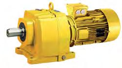 55 to 45 kw D to D+5 ATEX dust - Motors & geared motors Induction variable speed motor & geared motors Zone 21 & 22 from