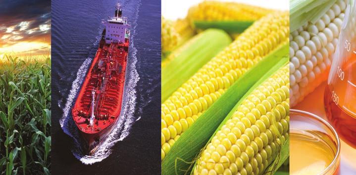 Chapter 21 Biofuels: Marine Transport, Handling and Storage Issues The production and use of biofuels as transport fuels has increased dramatically in recent years.