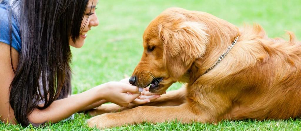 Pet Specialty Market Overview Trends and