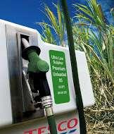 ETHANOL: Production Ethanol production and forecast Ethanol production in Sudan is based mainly on Sugar cane by-products.