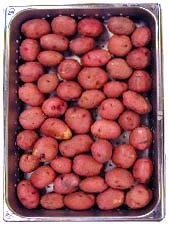 Methods Red Potato Efficiency Tests Figure 2-3. Red potato load. Freshly packed, size B, red potatoes (Figure 2-3) served as the second food product for steamer performance testing.
