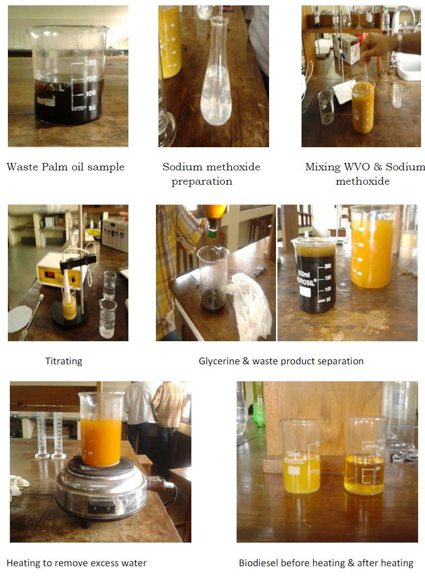 Fig. 2: Process of biodiesel formation