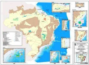 Brazilian Local Content Regulation / Concession Model - Agreement with the ANP ANP: National Agency of Petroleum Union Concession of Exploratory Blocks Signing Bonus Minimum Exploratory Program (PEM)