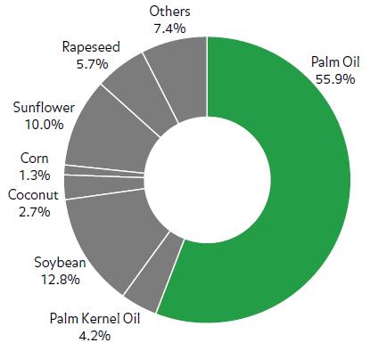 World exports, consumptions and prices of vegetable oils 5 World