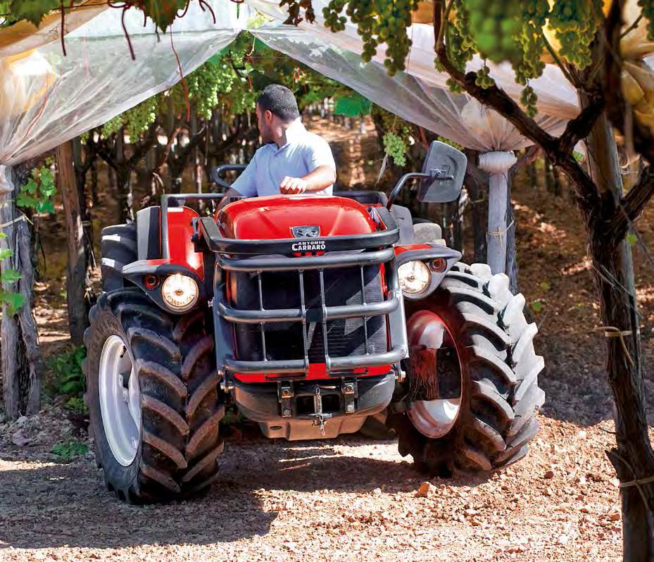 TGF: the specialized tractor par excellence The TGF tractor, featuring a super-low profile and unequal wheels, was designed to work nimbly between narrow rows