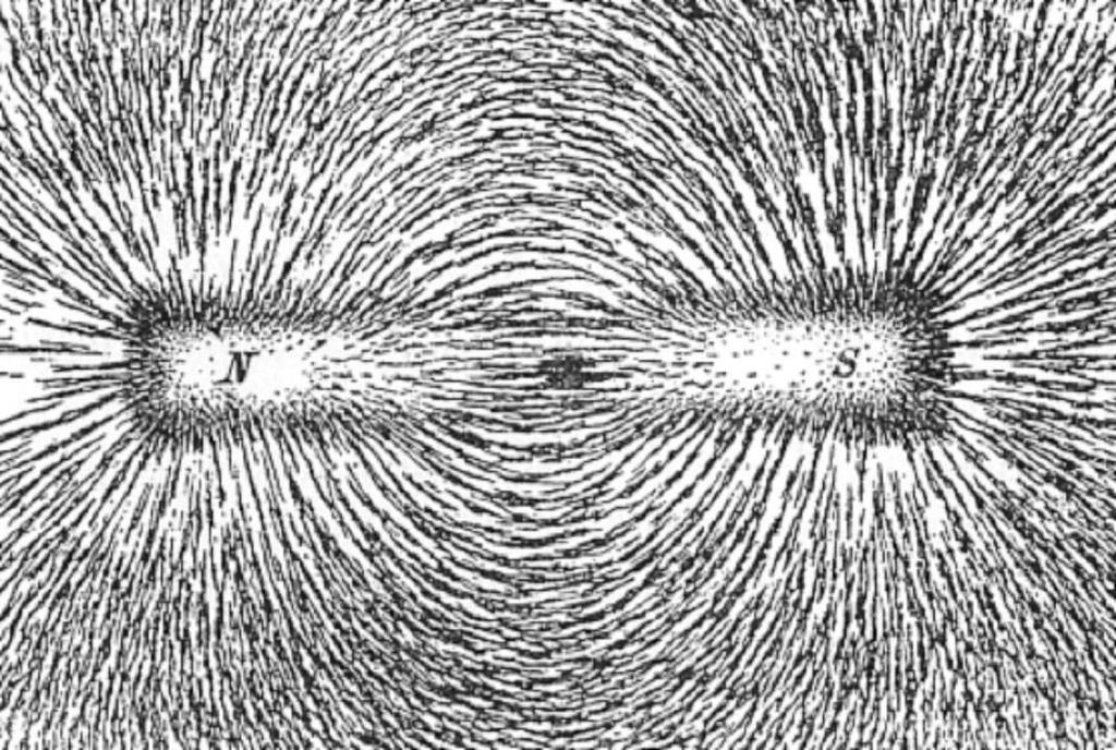 Exerts magnetic force Surrounds a