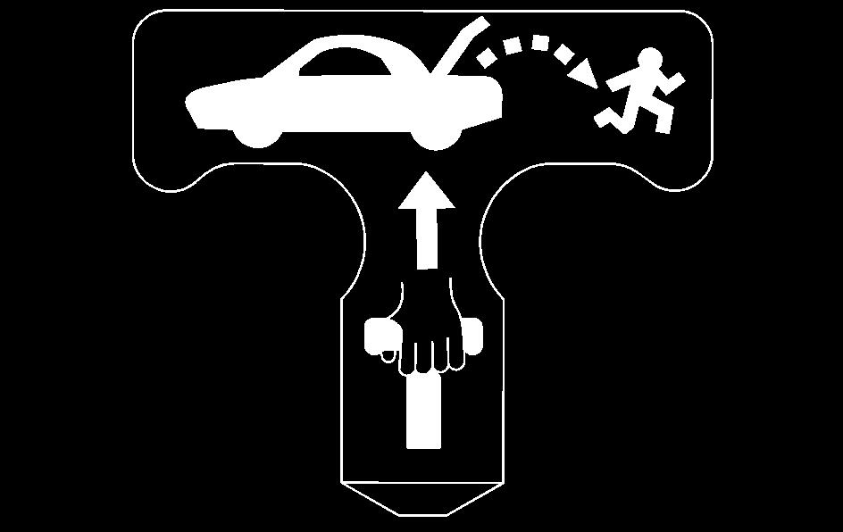 Notice: Using the emergency trunk release handle as a tie-down or anchor point when securing items in the trunk may damage it.