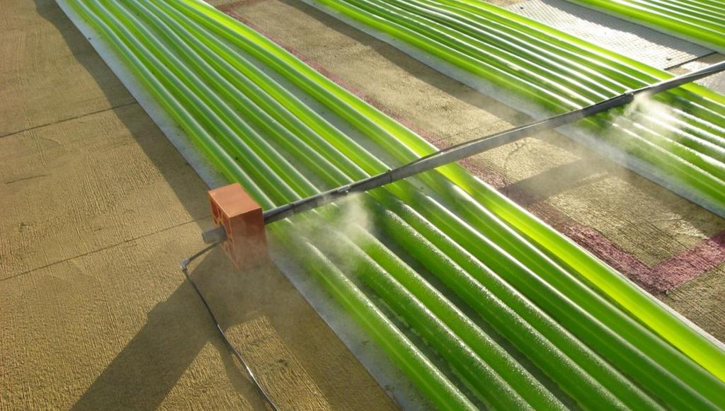 Microalgae oil one of the future raw material alternatives Algae oil is a suitable feedstock for NEXBTL renewable fuel production Not yet available on industrial