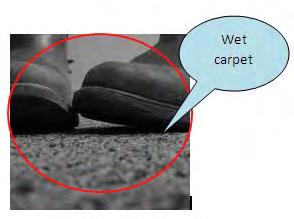 4 Figure 1.5: Wet carpet when people step on the carpet 1.2 Objectives The main objective of this project is to design motor circuit that spins the fan to blow hot air.