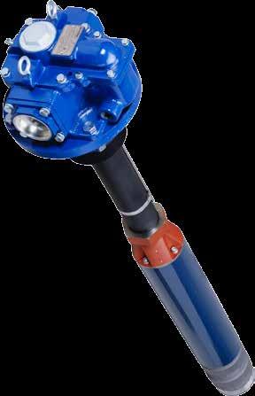 SUBMERSIBLE PUMPING SYSTEMS High Capacity Pumps Advantages High Performance FE Petro s multi-stage centrifugal pump is coupled with a dependable Franklin Electric motor to provide higher heads,