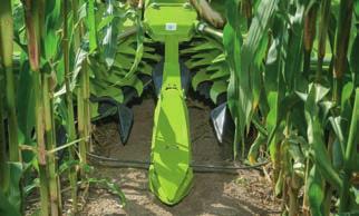 During the harvesting process, corn is usually followed in rows, even with row-independent corn front