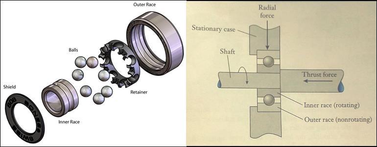 contact bearing function, the shaft and the bearing's inner race rotates together,
