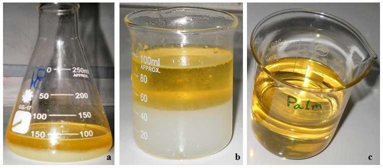 47 Shaila Siddiqua et al.: Transesterification of Palm Oil to Biodiesel and Optimization of Production Conditions i.e. Methanol, Sodium Hydroxide and Temperature dissolved in the methanol at an amount of 25% vegetable oil by hand shaking and whirling.