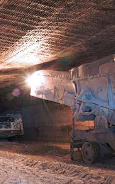 Mining Rexnord understands how critical the productivity of your operation is and the significance to reducing any downtime.