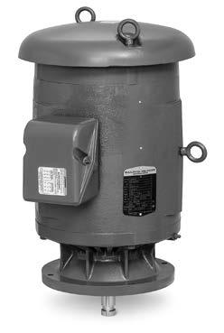 P-Base Vertical Solid Shaft Pump, Three Phase, ODP Pump thru 60 General Safeguard drip cover Cast iron construction for harsh environments Vertical lifting provisions for ease of installation