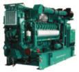 60 Hz Generator Sets Generator Set Continuous Rating Standby Rating Engine Alternative Fuels Capability C1000N6C 1000 kwe -- QSK60G C1000N6 -- 1000 kwe QSK60G C1100N6C 1100 kwe -- QSK60G C1250N6C