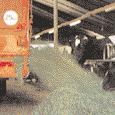 trailer into steep grassland. ERNTEBOSS 2 Lightweight BOSS type harvest wagon with a capacity of 28 m_.