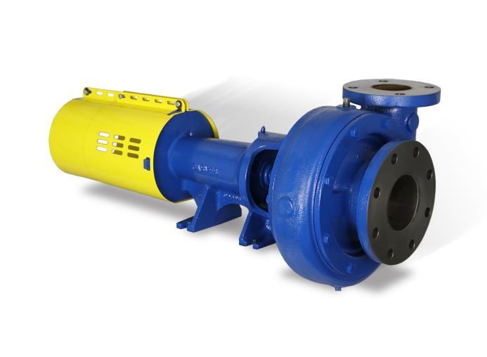 1.7 A Typical GH Specification (Specifier s options in parentheses) Each pump shall be a horizontal, end suction, frame mounted (close coupled) centrifugal pump capable of developing (2,500) US GPM