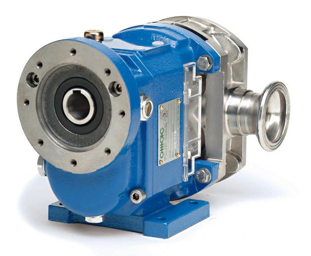 STANDARD VERSION The BE SERIES Lobe Pumps derives from the well-known B series pump since it shares several of its characteristics.