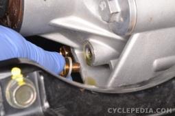Remove the oil level check bolt with a 12 mm socket.