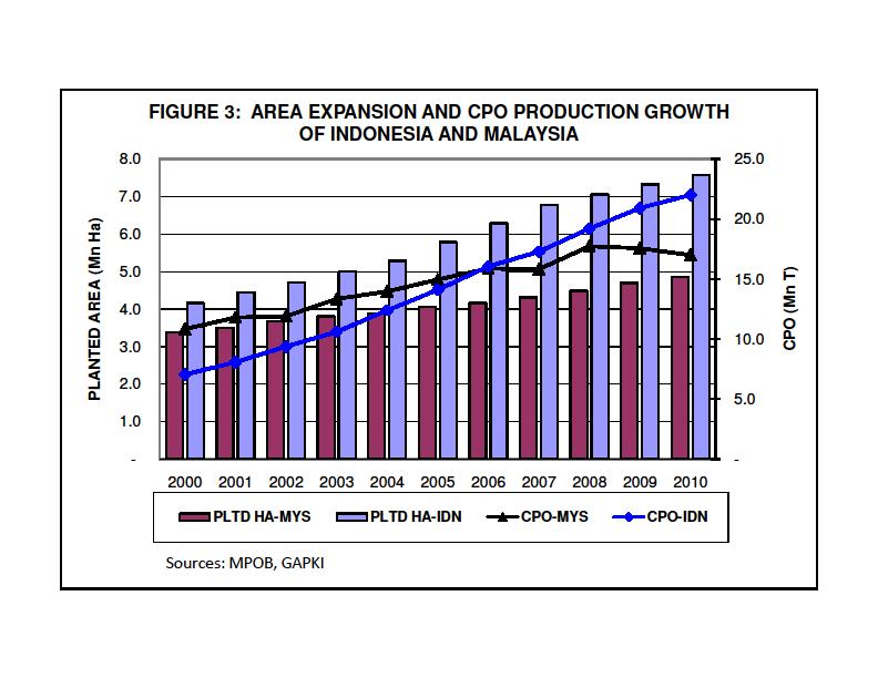 Rapid area expansion in the last decade boosts global palm oil production and supply (Figure 3).