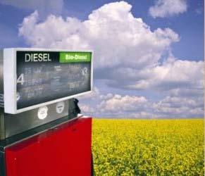 EU BIODIESEL MARKET GROWTH TRENDS EU Biofuels Targets: Target 1-2% by 2005 Target 2-5.