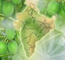 Socio-economic plans for growth in marginal areas to benefit rural farmers India s s Biodiesel Markets: Key