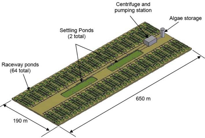Algae Growth Systems Common Method 1 of 2 Open Ponds and Raceway Systems Diagram Algae Farm Using 64 Open