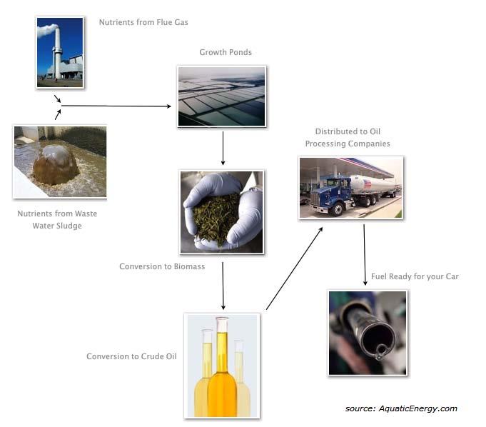 Applied Systems Algae to Bio-Crude for Transport Process Diagram: Algae Conversion to Biomass,
