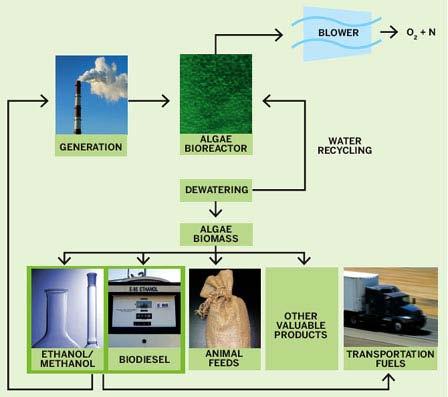Applied Systems C02 Capture for Algae to Biofuels Using CO2 to Produce Biodiesel, Ethanol in