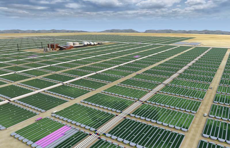Algae Farms - A Look at The Future High-Yield, Non-Food