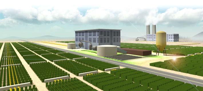 Another Look at The Future - Algae Farms Large-Scale Photo Bio-Reactor Farm