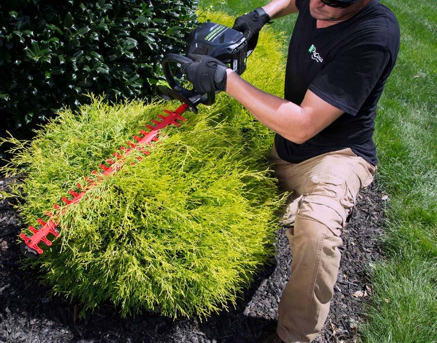 82-volt Brushless Hedge Trimmer ITEM #GH 260 It s the real deal, you can