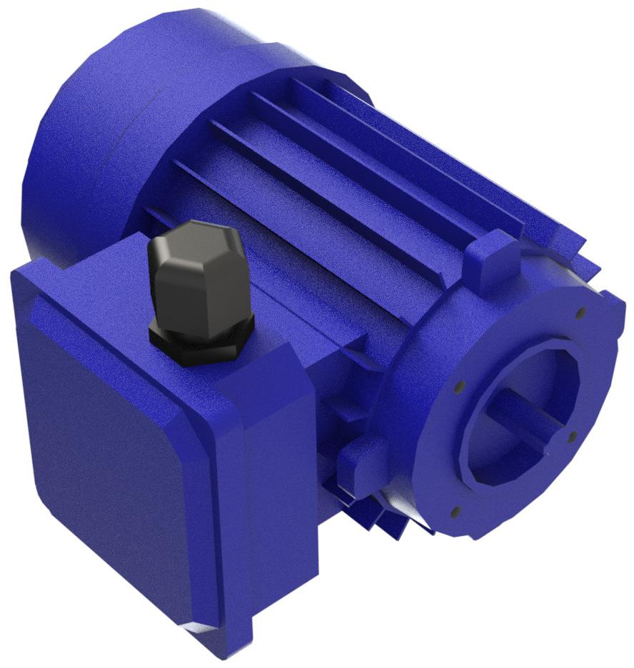 Electric motor PEG-PEO Motor The PEG series electric pumps have a standard configuration that includes a three-phase engine.