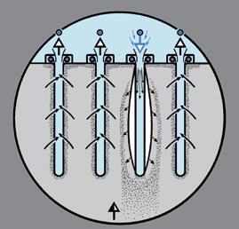 short-term, abrupt pulses of compressed air, called jet-pulse technique.