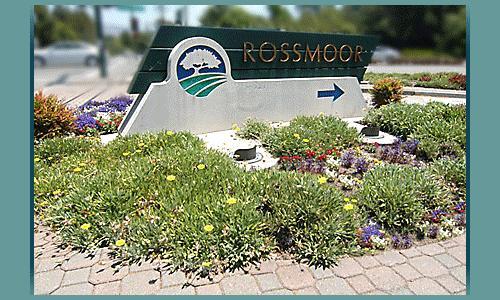 Senior Carsharing Case Study Rossmoor senior adult community, Walnut Creek, CA 18,000 acres with over 9,000 residents Carsharing pilot program could: Complement existing Rossmoor transportation