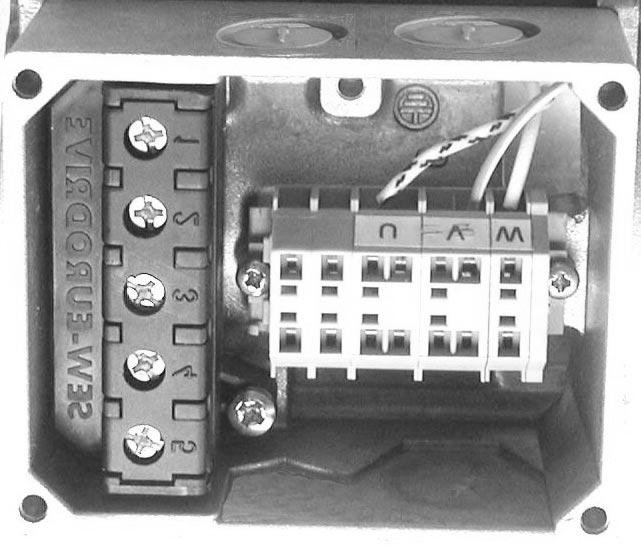 1.2 Connecting DT56..+/BMG motor The motor features a star point with three terminals that is wired in the winding overhang.