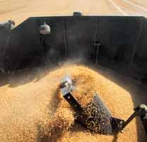 The unobstructed view of the unloading auger allows smooth and uninterrupted harvesting while unloading.