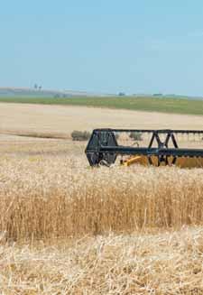 6 7 THE RANGE A COMBINE FOR EVERY FIELD MATCHING YOUR OPERATION There is always a CX model that fits your operation.