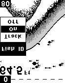 In most instances, remaining targets are fish. The Fish I.D. feature displays symbols on the screen in place of the actual fish echoes.