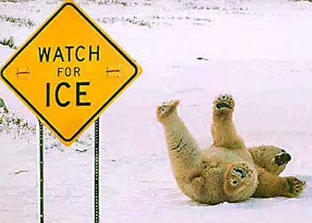 24 ICE Ice on Bridges: Bridge roadways tend to freeze before other roadways surfaces. Cold air circulates above and below the roadway on bridges and overpasses. Black ice This forms in thin sheets.