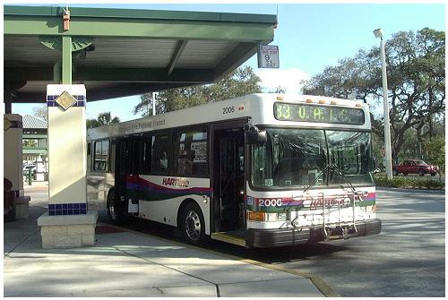 Public Transportation Major US Cities Public Busses 559 Million Gallons of Diesel