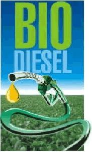 Environmental Impacts of Biodiesel