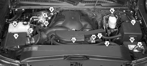 Engine Compartment Overview When you open the hood on the