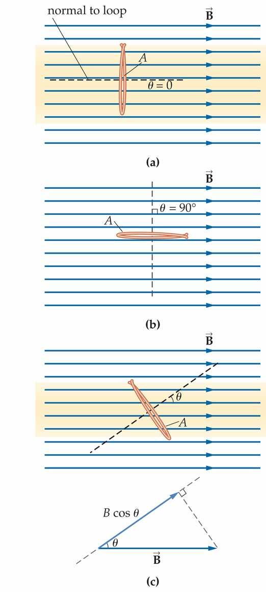 MAGNETIC FLUX (2) Suppose a magnetic field crosses a surface area A at right angles The magnetic flux, Φ, is simply Φ = BA If the magnetic field is parallel to the surface (b), it is evident that no