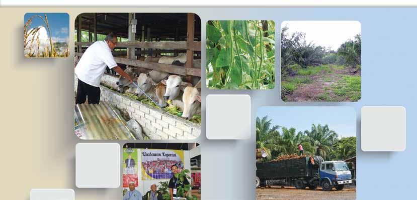 Jawatankuasa Sektor Perladangan dan Sektor Pertanian & Industri Asas Tani ANGKASA Tahun 2017 bakal menyaksikan peningkatan usaha dalam memperkasa koperasi perladangan dan pertanian melalui projek